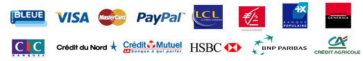 carte bleue, visa, banque, paypal